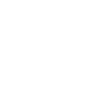 Logo Joni Pavanello